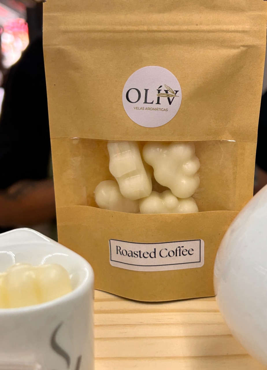 Wax Melts (Pastilhas Aromáticas) — 30g