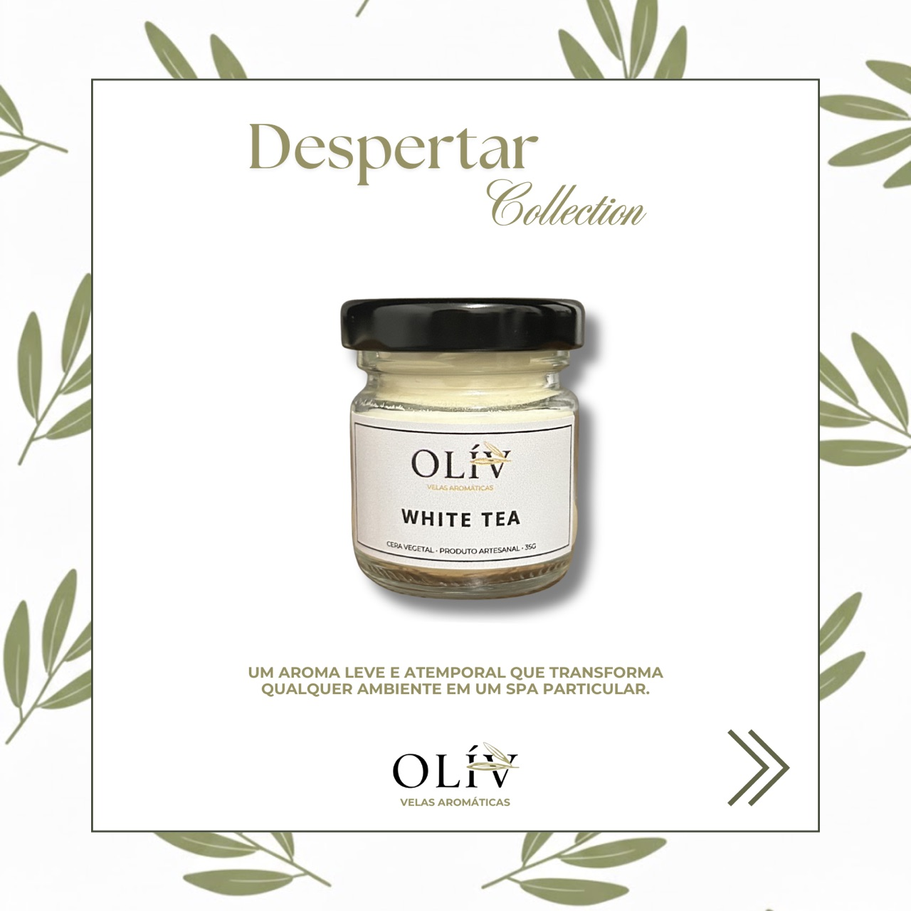 Despertar | Baby OLÍV — White Tea (35g)